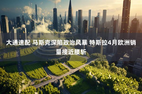 大通速配 马斯克深陷政治风暴 特斯拉4月欧洲销量接近腰斩