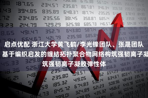 启点优配 浙江大学黄飞鹤/李光锋团队、张晟团队Angew：基于编织启发的缠结拓扑聚合物网络构筑强韧离子凝胶弹性体