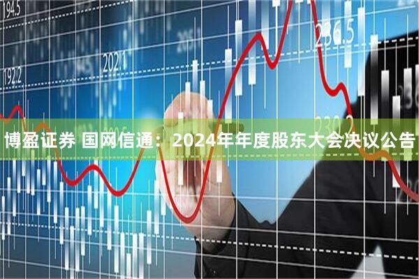 博盈证券 国网信通：2024年年度股东大会决议公告