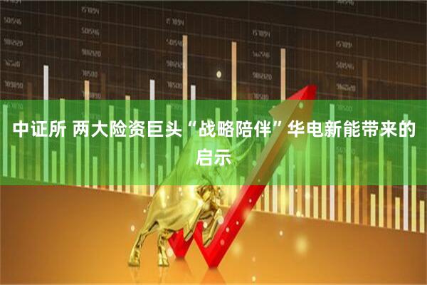 中证所 两大险资巨头“战略陪伴”华电新能带来的启示