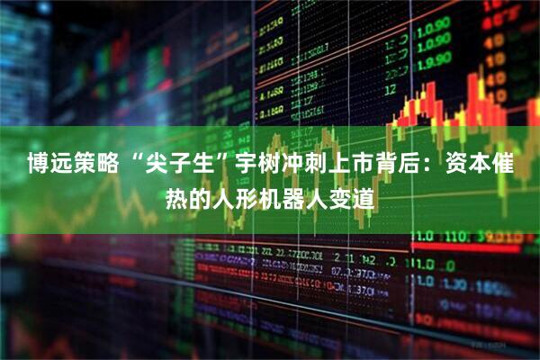 博远策略 “尖子生”宇树冲刺上市背后：资本催热的人形机器人变道