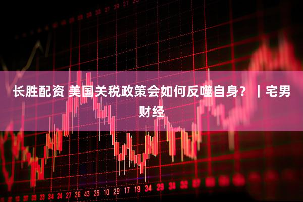 长胜配资 美国关税政策会如何反噬自身？｜宅男财经