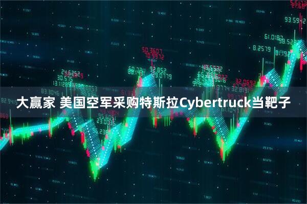 大赢家 美国空军采购特斯拉Cybertruck当靶子