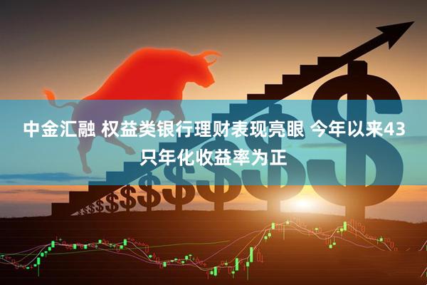 中金汇融 权益类银行理财表现亮眼 今年以来43只年化收益率为正