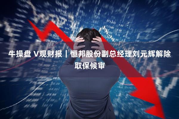 牛操盘 V观财报｜恒邦股份副总经理刘元辉解除取保候审
