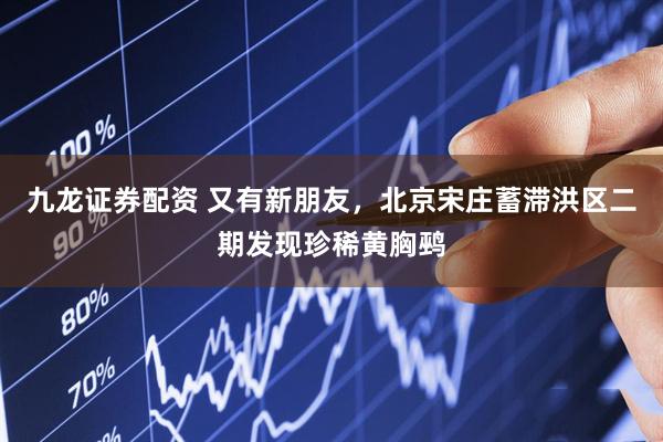 九龙证券配资 又有新朋友，北京宋庄蓄滞洪区二期发现珍稀黄胸鹀