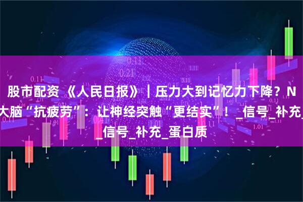 股市配资 《人民日报》︱压力大到记忆力下降？NAD+帮大脑“抗疲劳”：让神经突触“更结实”！_信号_补充_蛋白质