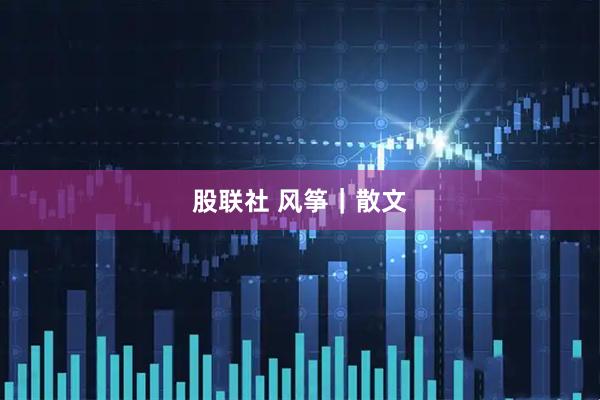 股联社 风筝｜散文